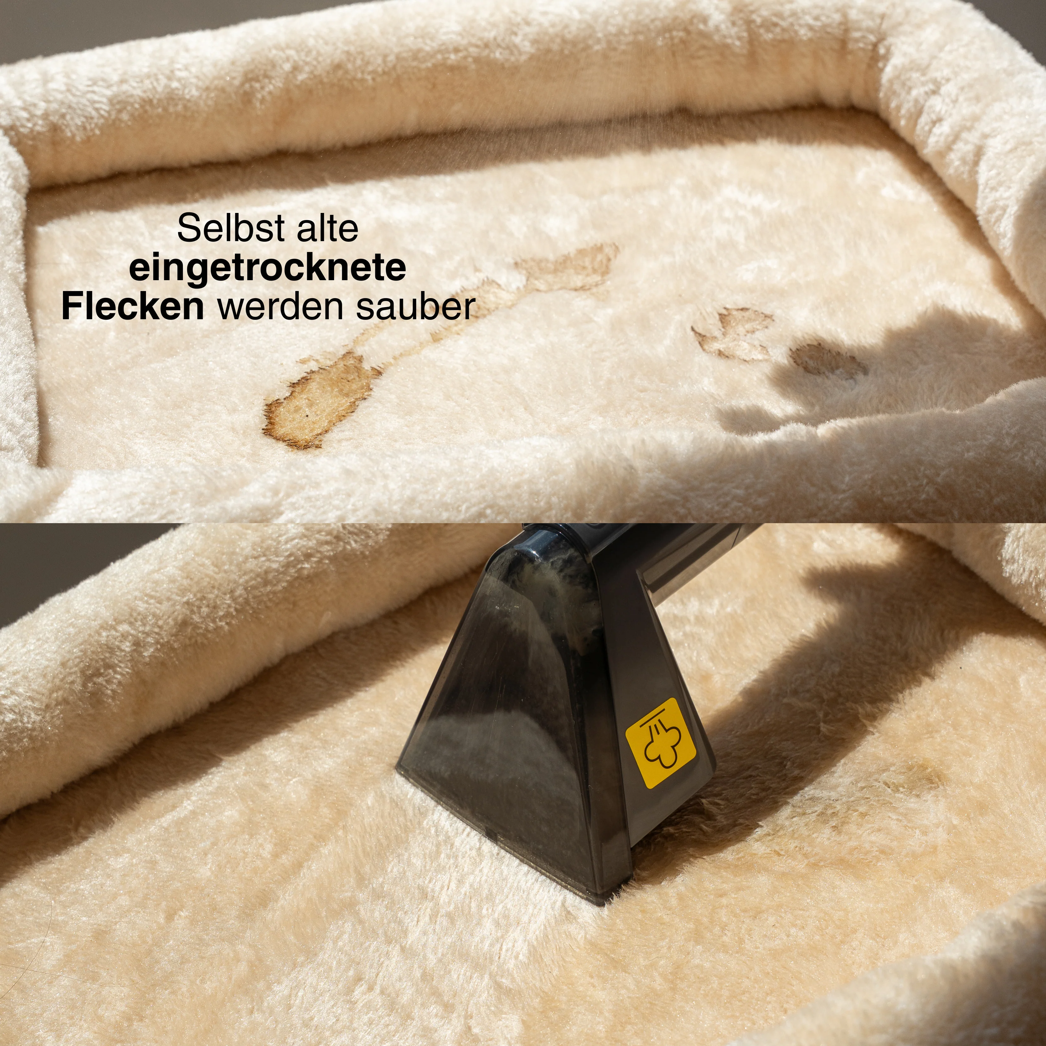 Achaté Waschsauger mit Dampf und heißem Wasser - Image 5